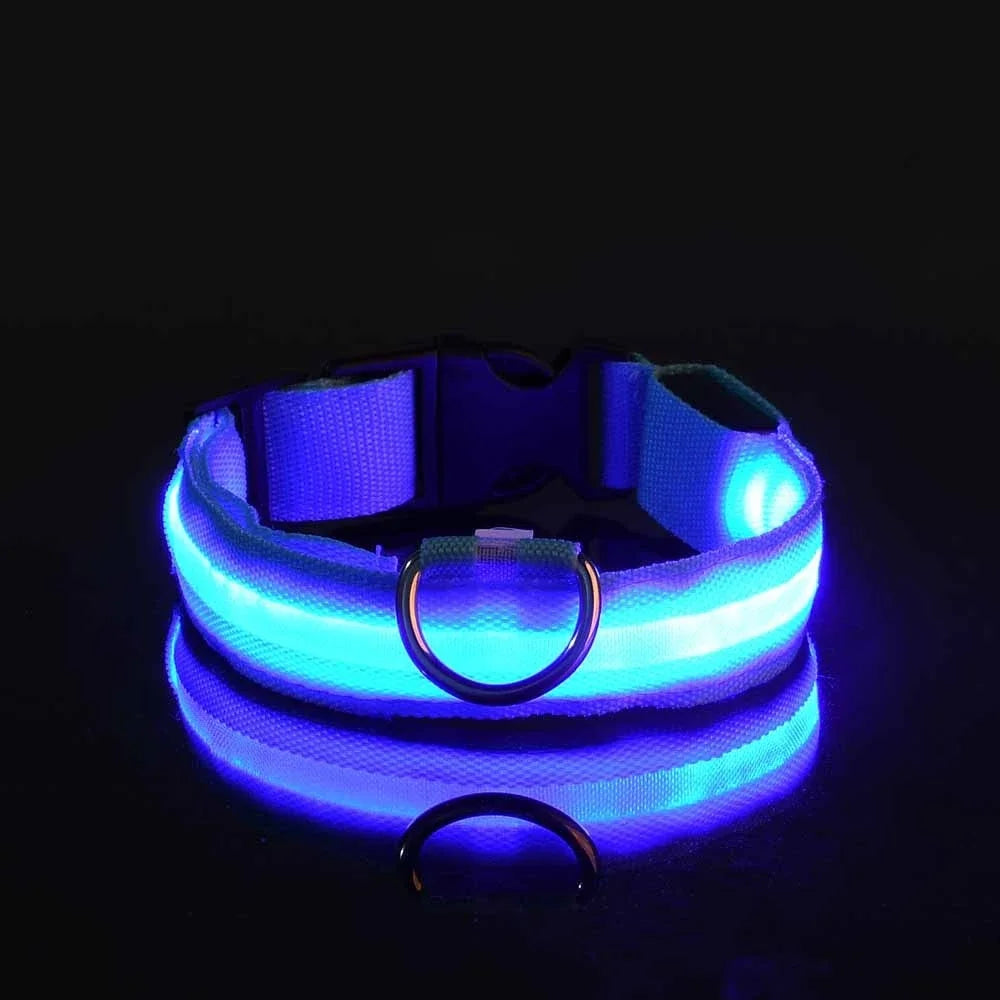 LED Collar