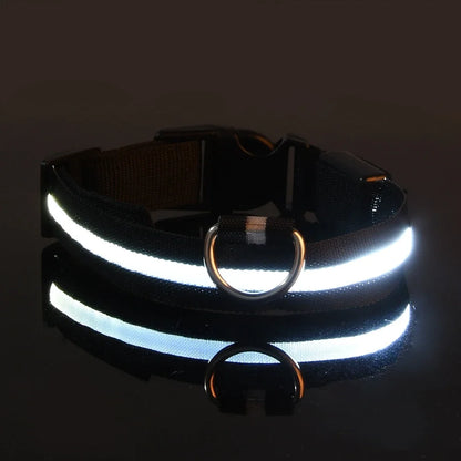 LED Collar