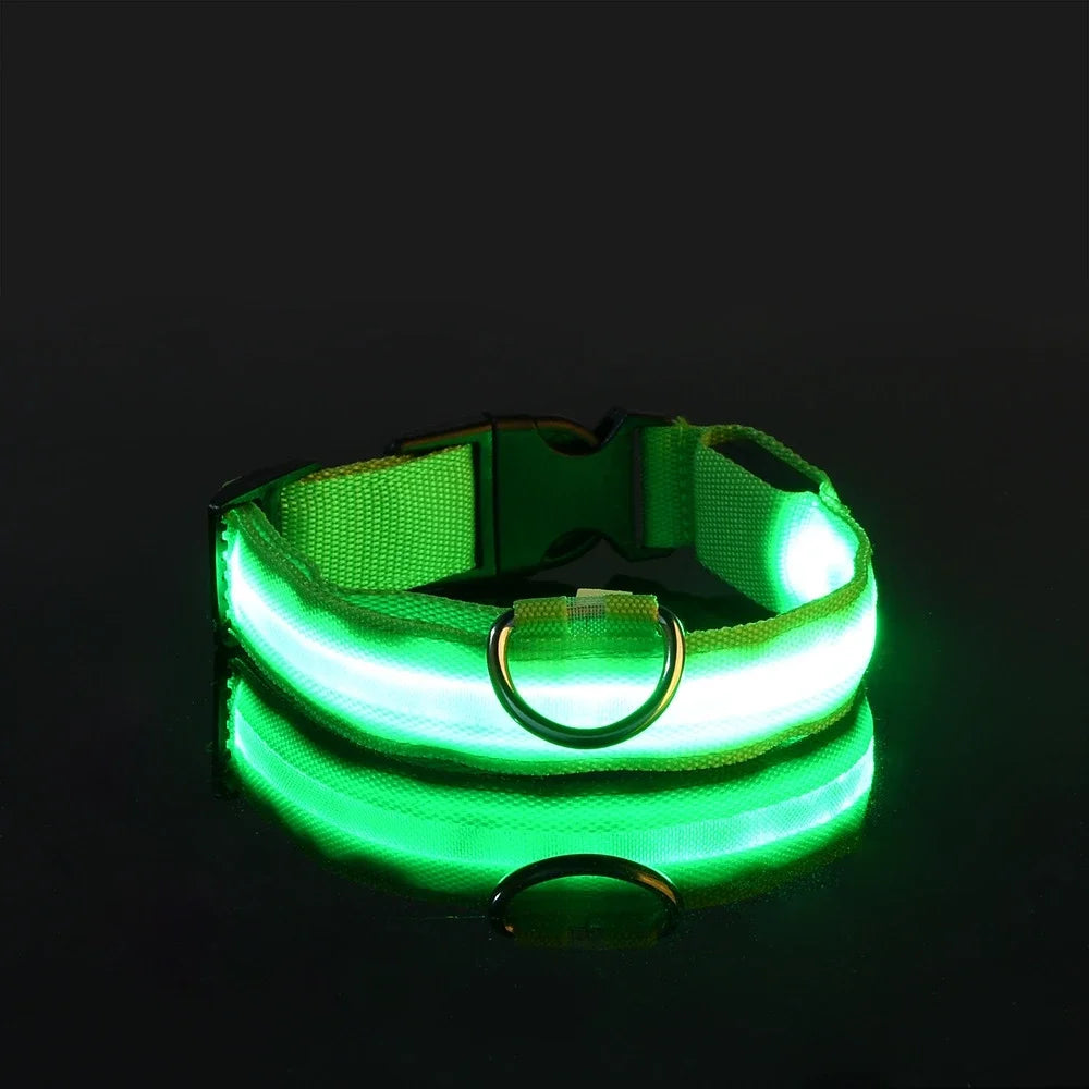 LED Collar